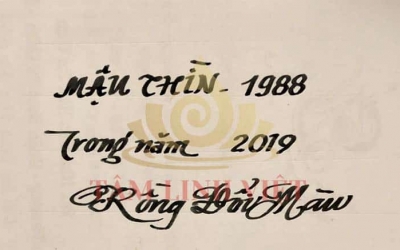 Tử Vi Cho Người Tuổi Thìn Năm 2019