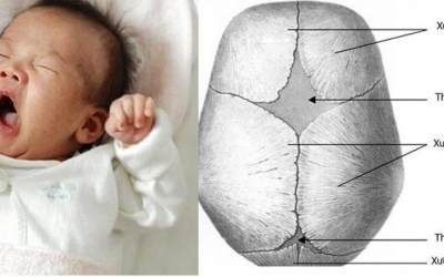 Kiến thức về thóp của bé và những điều mà mẹ cần phải biết