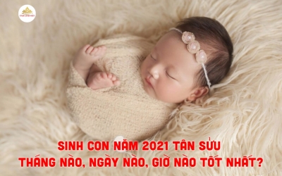 Sinh con năm 2021 Tân Sửu tháng nào, ngày nào, giờ nào tốt nhất?
