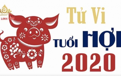 Tử vi tuổi Hợi năm 2020
