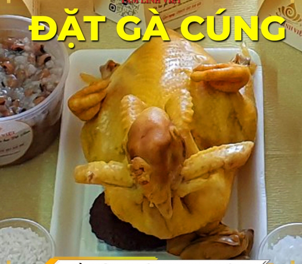 Đặt gà cúng Ngon, Đẹp và Giá cạnh tranh tại Tp HCM